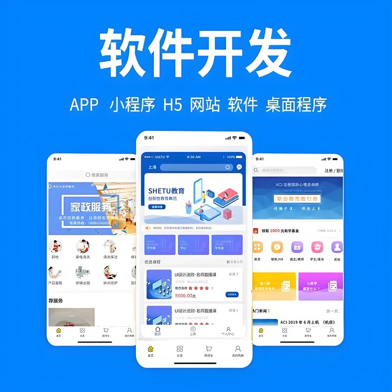 阜阳软件开发:助力地方经济腾飞的新引擎