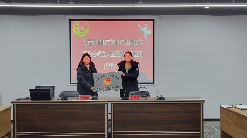 阜阳软件开发选购指南